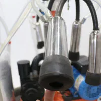 شیردوش شیر دوش گاو دوش گوسفند اتوماتیک|ماشینآلات صنعتی|مشهد, توس (بلوار توس)|دیوار