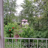 ویلا جنگلی دربست شادنشین طبیعت بکر|اجارهٔ کوتاهمدت ویلا و باغ|شفت, |دیوار