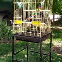 قفسبزرگ و تاب و نردبان
