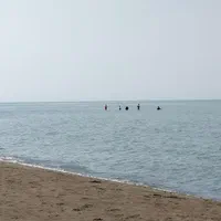 اجاره ویلا سوئیت ۶۰ متر یکخواب ساحلی دقیقا لب دریا|اجارهٔ کوتاه‌مدت ویلا و باغ|رامسر, |دیوار