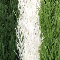 . ، چمنمصنوعی باشگاه ورزشی،|مصالح و تجهیزات ساختمان|تبریز, |دیوار