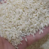 برنج میداوود معطر       اصفهان کارت پذیرفته می‌شود|خوردنی و آشامیدنی|اصفهان, رزمندگان|دیوار