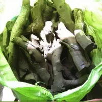 زغال کبابی صنعتی