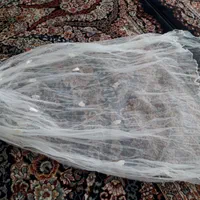 تور سر عروس|لباس|اصفهان, آزادگان|دیوار