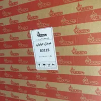 مبدل حرارتی رادیات آبگرمکن دیواری بوتان B3115