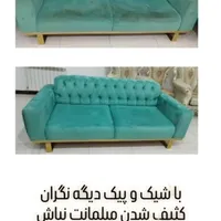 مبل شویی/شستشو در منزل/مواد نانو باکتریال