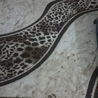 دوعدد فرش 3متری