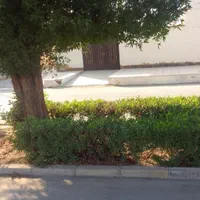 کوی مجاهد بلوار اصلی ۲۵۰متری|فروش خانه و ویلا|اهواز, بهارستان|دیوار