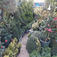 کلیه کارهای باغبانی سم پاشی هرس کاری بیل زنی سوسک|خدمات باغبانی و درختکاری|تهران, مهران (سیدخندان)|دیوار