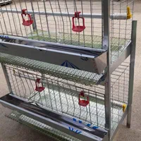 قفس و سبد حمل مرغ و بلدرچین|لوازم جانبی حیوانات|یزد, |دیوار