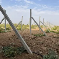 تیرک بتنی پایه بتنی ستون سیمانی ستون باغی فنس