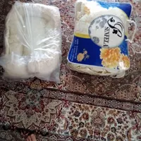 اسباب پسرانه