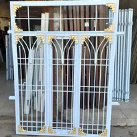 درب حال پنجره اهنی در ورودی پذیرایی مدل نخلی شیک|مصالح و تجهیزات ساختمان|مشهد, طلاب|دیوار