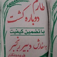 برنج طارم دوباره کشت