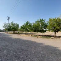 زمین خام ۲۳۰۰ متری واقع در شهریار رنگرز قولنامه ای|فروش زمین و ملک کلنگی|شهریار, رنگرز|دیوار