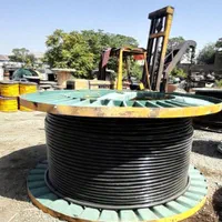 کابل برق ۱۶+۱۶×۲ خودنِگهدار