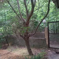 باغ سولقان|فروش خانه و ویلا|تهران, شهرک کوهسار|دیوار