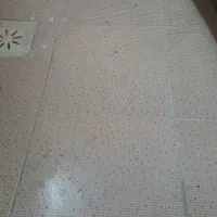 رفع نم بدون خرابی|خدمات پیشه و مهارت|نیشابور, هفده شهریور|دیوار