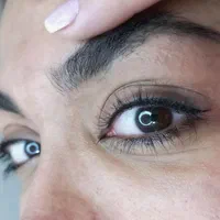 فیبروز ابرو،شیدینگ لب،بن مژه،اکستنشن مژه|خدمات آرایشگری و زیبایی|شیراز, معالی‌آباد|دیوار