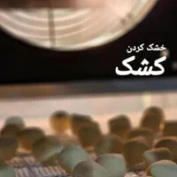 تولیدگران دستگاه خشک کن میوه دوگانه سوز|ماشین‌آلات صنعتی|مشهد, بهمن|دیوار