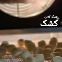 تولیدگران دستگاه خشک کن میوه دوگانه سوز|ماشین‌آلات صنعتی|مشهد, بهمن|دیوار