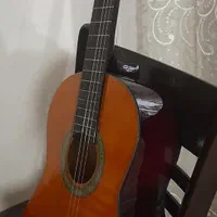 گیتار AK20