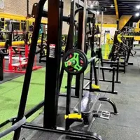 مربی حرفه ای بدنسازی ویک مربی  زومبا