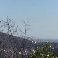 زمین ۱۶۰۰۰متر،رامسر،کتالم،|فروش زمین و ملک کلنگی|کتالم و سادات شهر, |دیوار