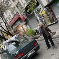 فرش نادر تبریز ۹ متر ماهی کمال الملک( نقد ‌اقساط )|فرش|تبریز, |دیوار