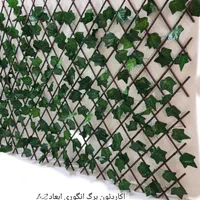 ریسه اکاردئونی پتوس انگوری شمعدونی برای تزئین تراس|مصالح و تجهیزات ساختمان|تهران, هاشم‌آباد|دیوار