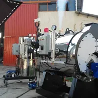 دیگ بخار مصرف خیلی کم گاز کارواش بخار