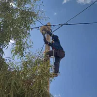 فروش زمین کارگاهی مجموعه پردیس جاده نیروگاه|فروش زمین و ملک کلنگی|شیراز, وزیرآباد|دیوار