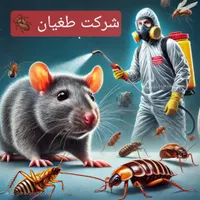 سمپاشی و دفع تضمینی موش سوسک ساس شرکت طغیان