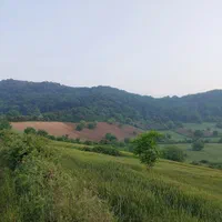۴۰۰۰متری کشاورزی روستای زیبای قلندر ایش کردکوی|فروش زمین و ملک کلنگی|کردکوی, |دیوار