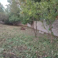 زمین مسکونی 380متر با پروانه ساخت سند دار|فروش زمین و ملک کلنگی|رشت, دیلمان|دیوار