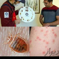 سمپاشی سم پاش ساس سوسک تضمینی صددرصد یک مرحله|خدمات نظافت|مشهد, اروند|دیوار