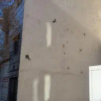 فروش ملکیت تجاری مسکونی ۶۴متر|فروش مغازه و غرفه|تهران, یاخجی آباد|دیوار