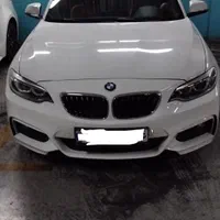 کرایه و اجاره ماشین BMW 220i (حتی با راننده)