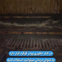 آبدرمانی زنانه/لباس شنا/ کفش شنا/کیف شنا/آموزش شنا|غواصی و ورزش‌های آبی|اردبیل, |دیوار