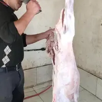 قصاب وذبح گوسفند وتمیز کردن کله پاچه شبانه روزی|خدمات پذیرایی، مراسم|اصفهان, ملک‌شهر|دیوار