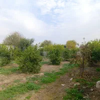 پیش فروش/باغچه برق/آب تصفیه/کوچه پردیس بنجعفر
