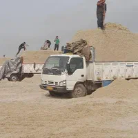 باگاس نیشکر کاه نیشکر جایگزین کاه گندم،. بصرفه|حیوانات مزرعه|اصفهان, آزادگان|دیوار