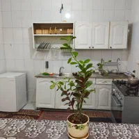 اجاره روزانه (تمیز، دربست)|اجارهٔ کوتاه‌مدت آپارتمان و سوئیت|قم, باسکول|دیوار