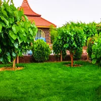 باغ ویلا استخردار تمیز نزدیک