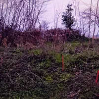 فروش زمین ۲۴۰ متری داخل بافت ومسکونی|فروش زمین و ملک کلنگی|شفت, |دیوار