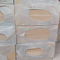 کارخانه آجر نسوز نما آرم دژ ۷×۳۲رنگ|عمده‌فروشی|پاکدشت, پاکدشت (مامازند)|دیوار