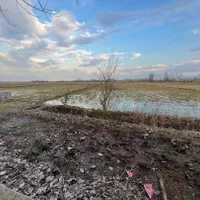 ۸۰۰۰متری بوم گردی خانه با شالیزار کوچصفهان آستانه|فروش خانه و ویلا|خشکبیجار, |دیوار