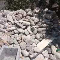 نمای ساختمان و باغچه