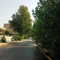 سوله و گلخانه|فروش دفتر صنعتی، کشاورزی، تجاری|پاکدشت, |دیوار