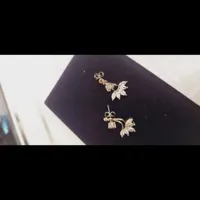 گوشواره میخی|بدلیجات|اصفهان, دستگرده|دیوار